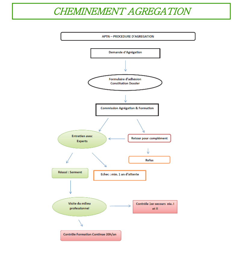 organigramme CAF